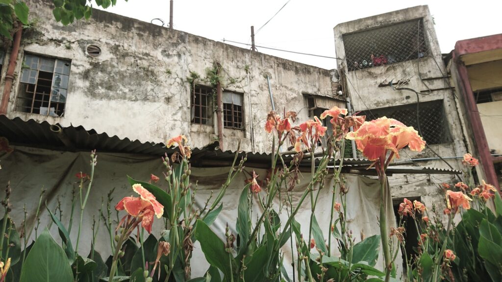 Medieval ruins of Kachari Rajbari in India’s Dimapur appear as extra-terrestrial spaceship mushrooms, and the apartments with their beautiful flowers on a nearby road
